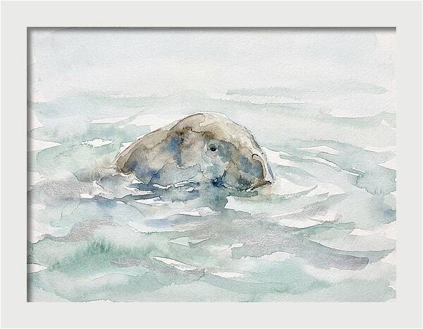 Dugong Beneath The Surface