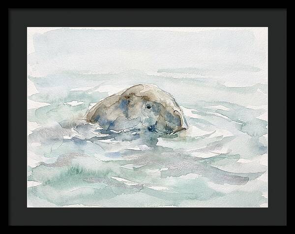 Dugong Beneath The Surface