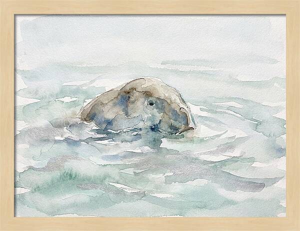 Dugong Beneath The Surface
