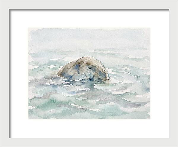 Dugong Beneath The Surface