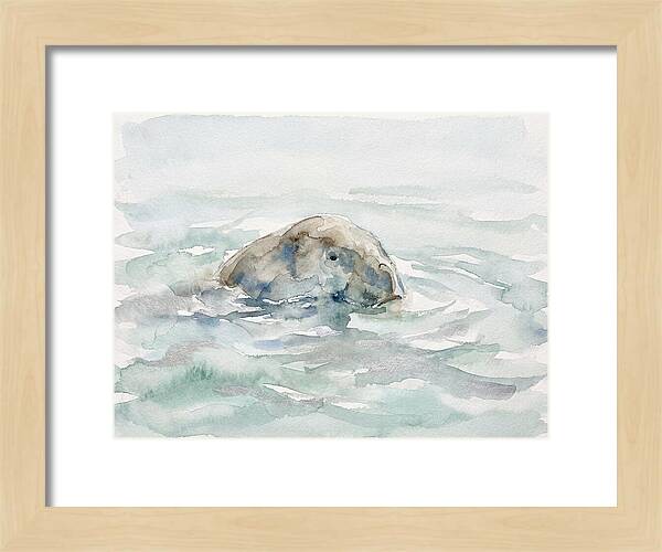 Dugong Beneath The Surface