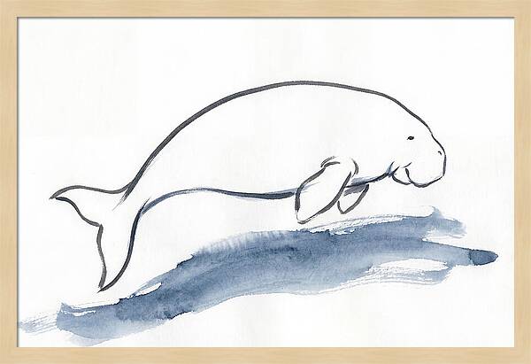 Dugong Swimming Gracefully