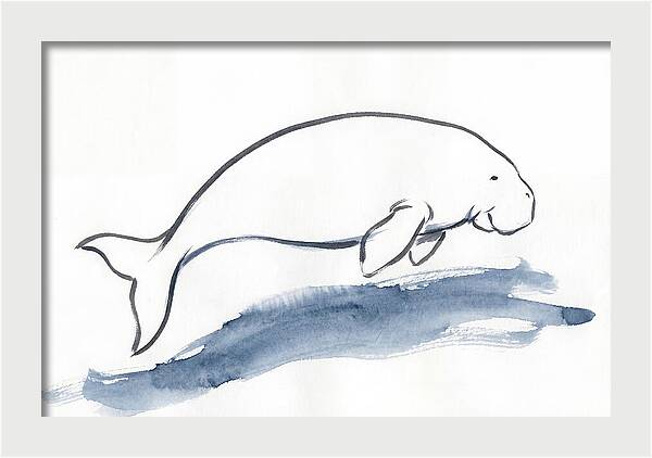Dugong Swimming Gracefully