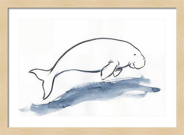 Dugong Swimming Gracefully