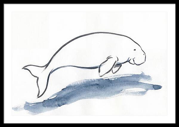 Dugong Swimming Gracefully
