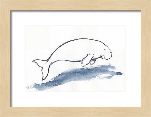 Dugong Swimming Gracefully
