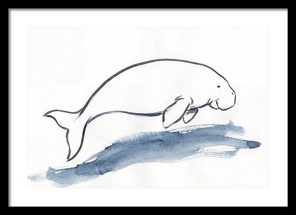 Dugong Swimming Gracefully