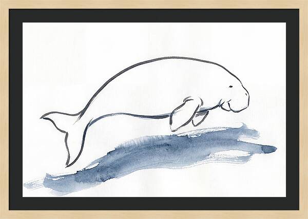 Dugong Swimming Gracefully