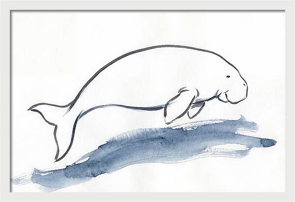 Dugong Swimming Gracefully
