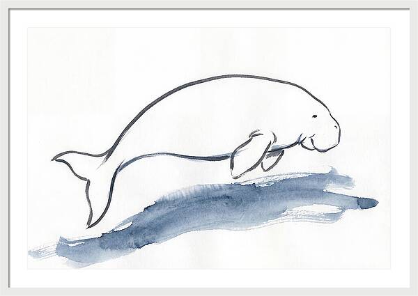 Dugong Swimming Gracefully