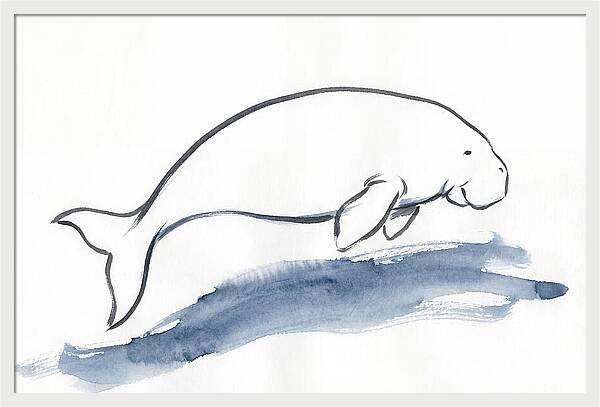 Dugong Swimming Gracefully