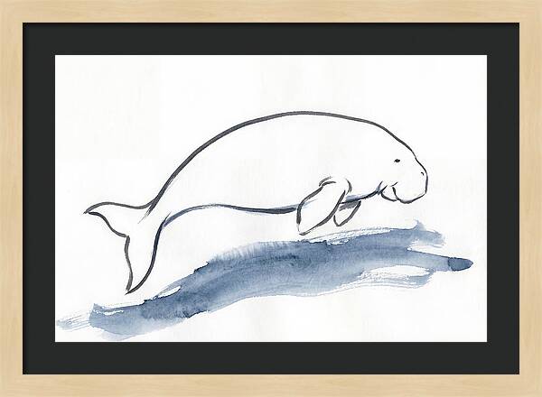 Dugong Swimming Gracefully
