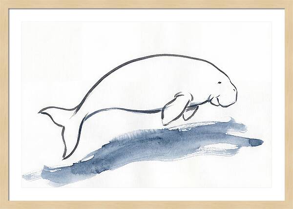 Dugong Swimming Gracefully
