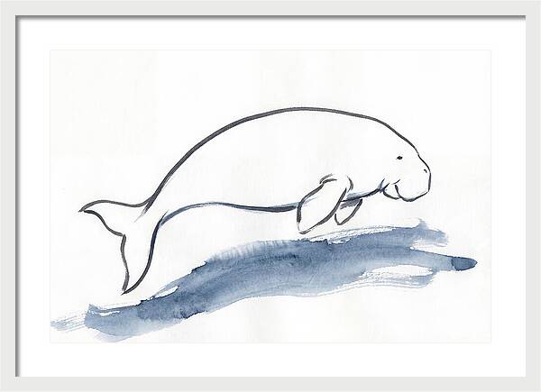 Dugong Swimming Gracefully