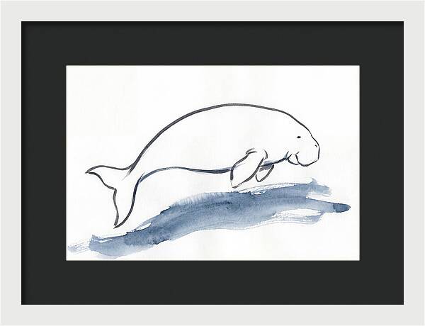 Dugong Swimming Gracefully
