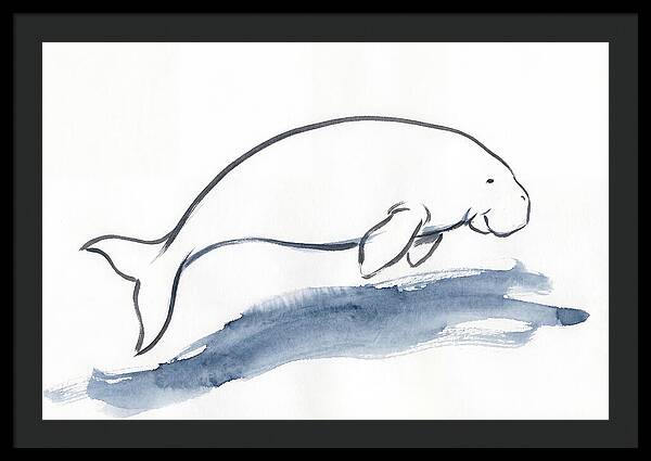 Dugong Swimming Gracefully