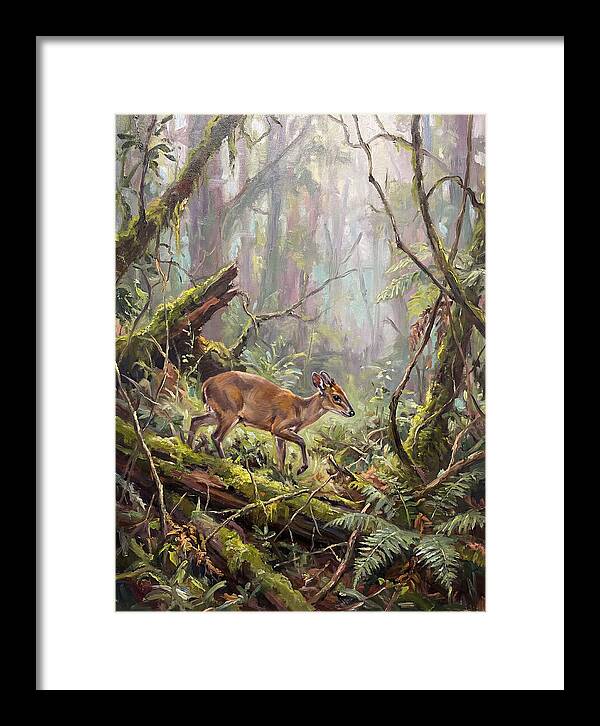 Duiker In The Misty Forest