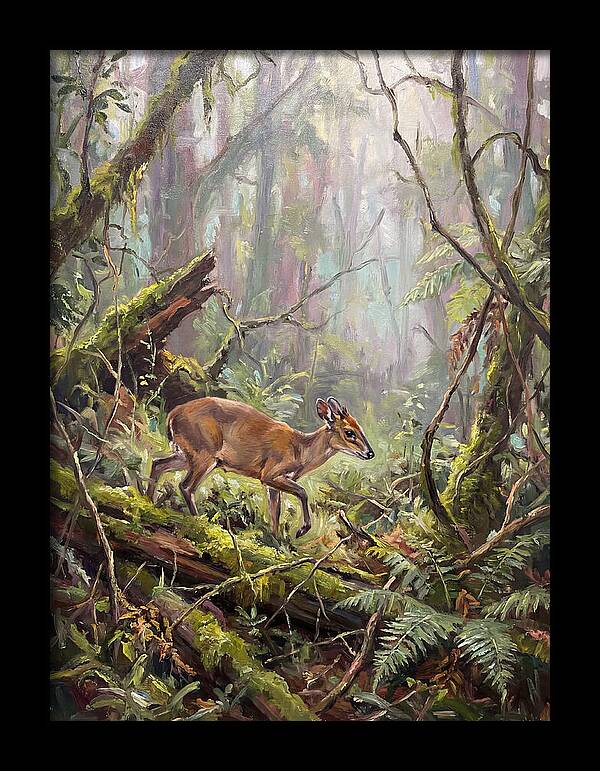 Duiker In The Misty Forest