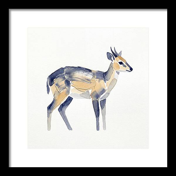 Duiker In Watercolor Elegance