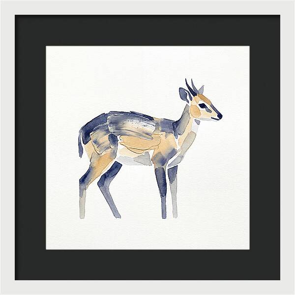 Duiker In Watercolor Elegance