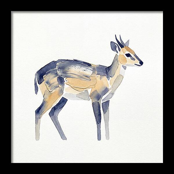 Duiker In Watercolor Elegance