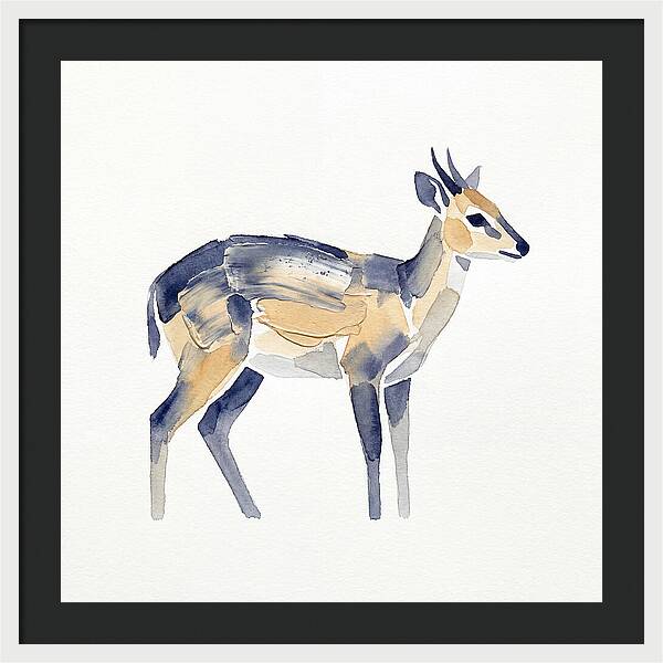 Duiker In Watercolor Elegance