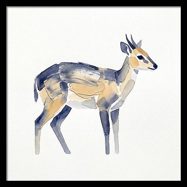 Duiker In Watercolor Elegance