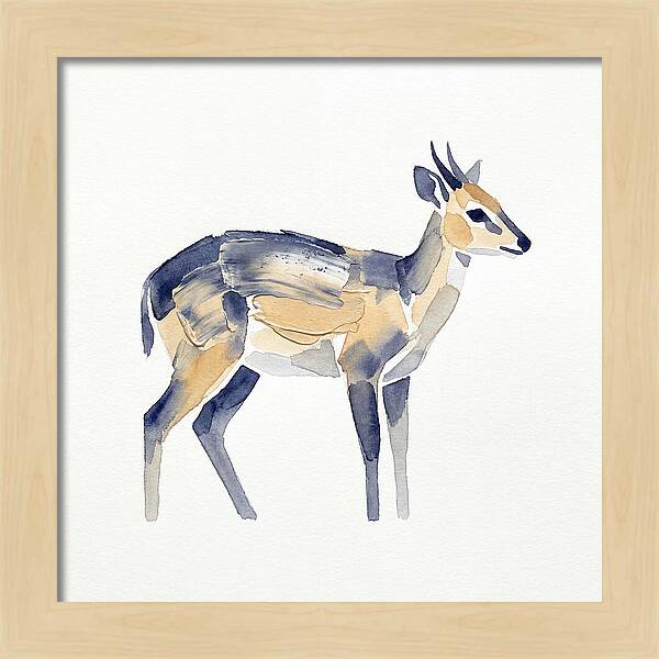 Duiker In Watercolor Elegance