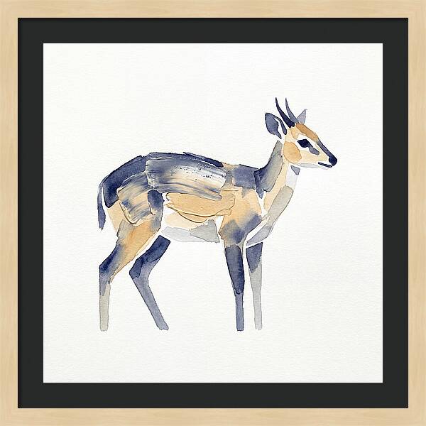 Duiker In Watercolor Elegance