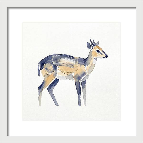 Duiker In Watercolor Elegance