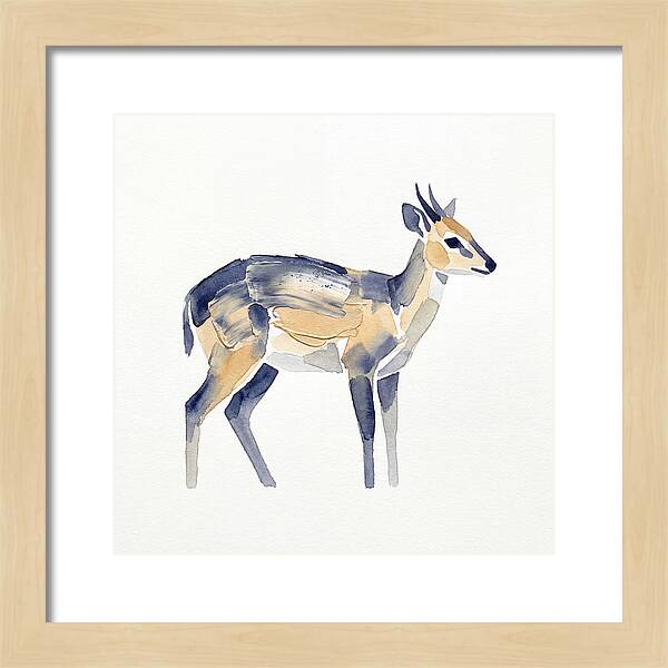 Duiker In Watercolor Elegance