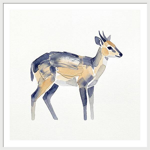 Duiker In Watercolor Elegance