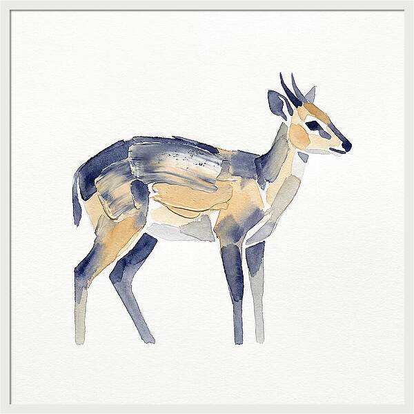 Duiker In Watercolor Elegance