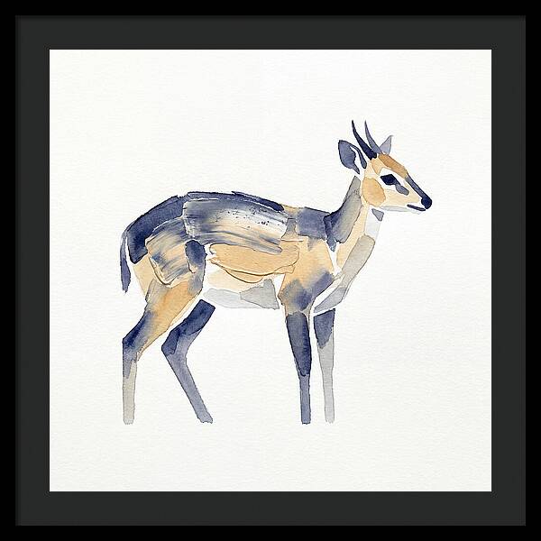 Duiker In Watercolor Elegance