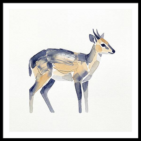 Duiker In Watercolor Elegance