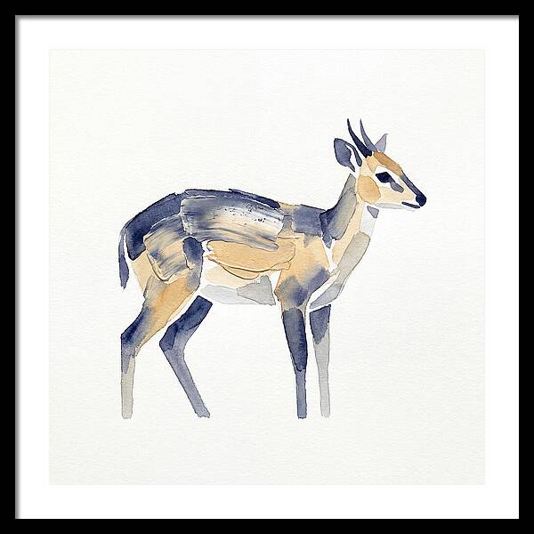 Duiker In Watercolor Elegance