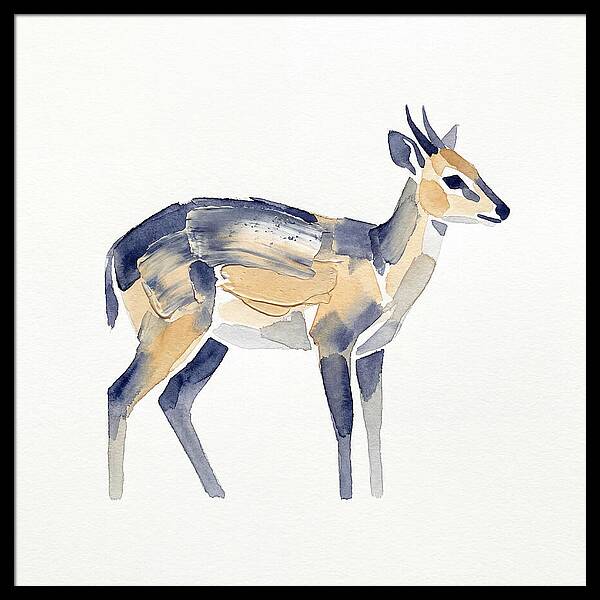 Duiker In Watercolor Elegance