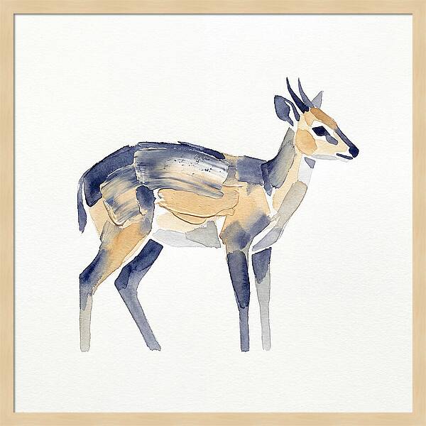 Duiker In Watercolor Elegance