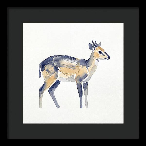 Duiker In Watercolor Elegance
