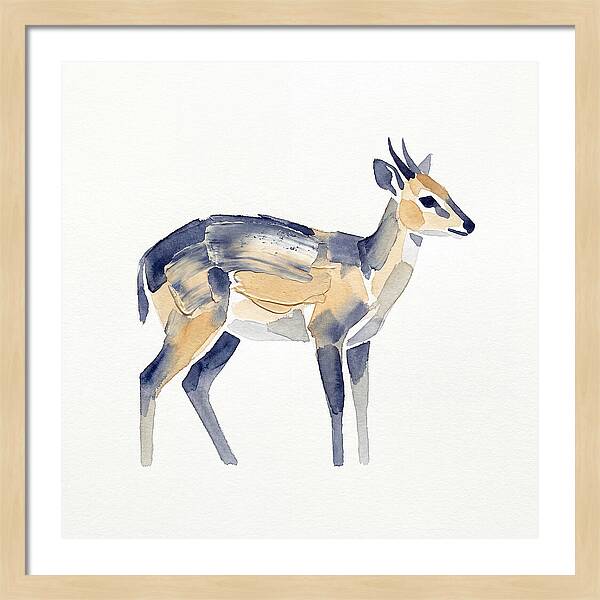 Duiker In Watercolor Elegance
