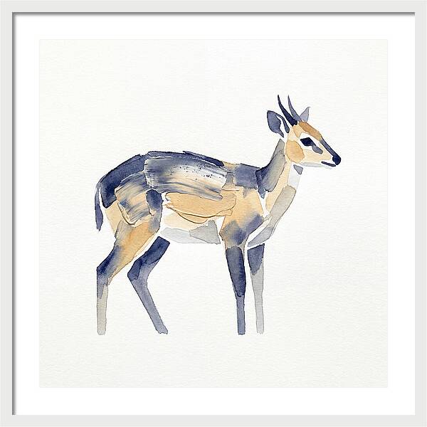 Duiker In Watercolor Elegance