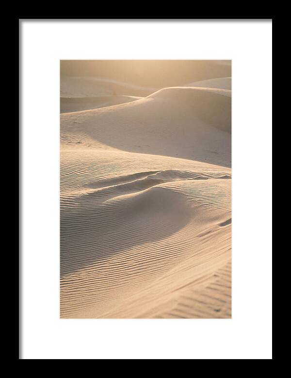 Dune Warmth At Indiana Dunes