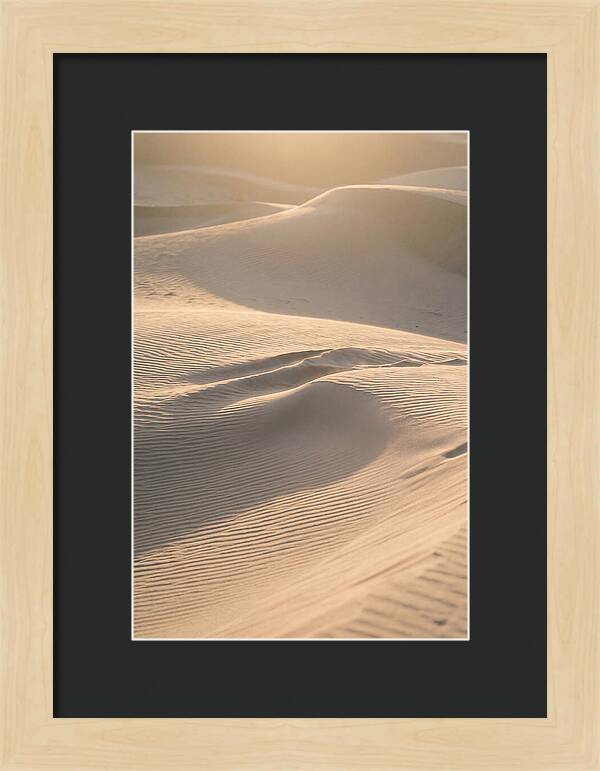 Dune Warmth At Indiana Dunes