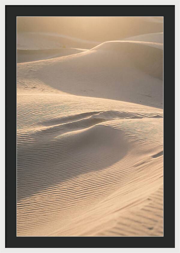 Dune Warmth At Indiana Dunes