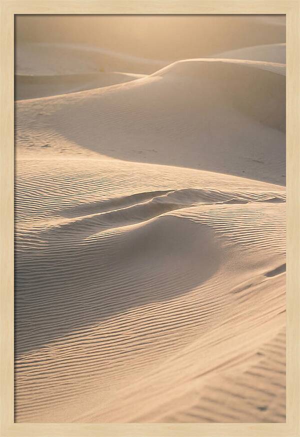 Dune Warmth At Indiana Dunes