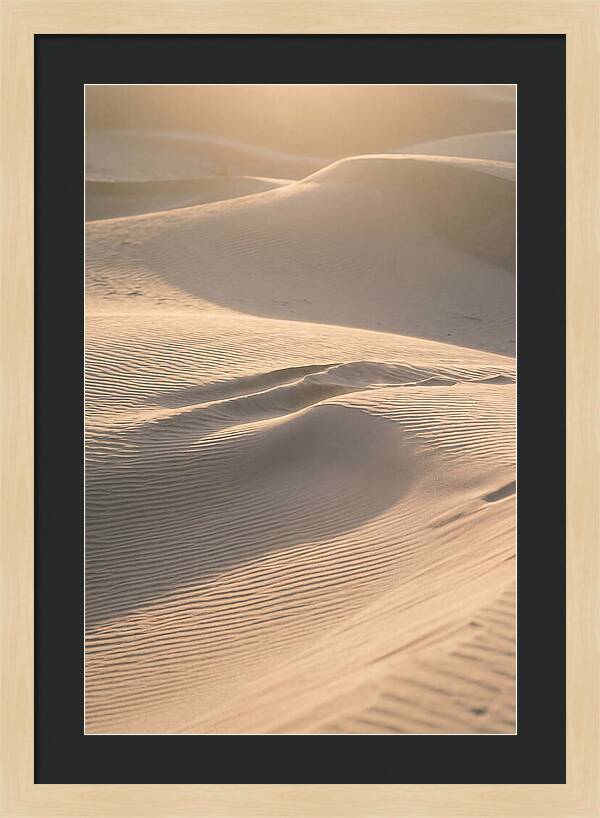 Dune Warmth At Indiana Dunes