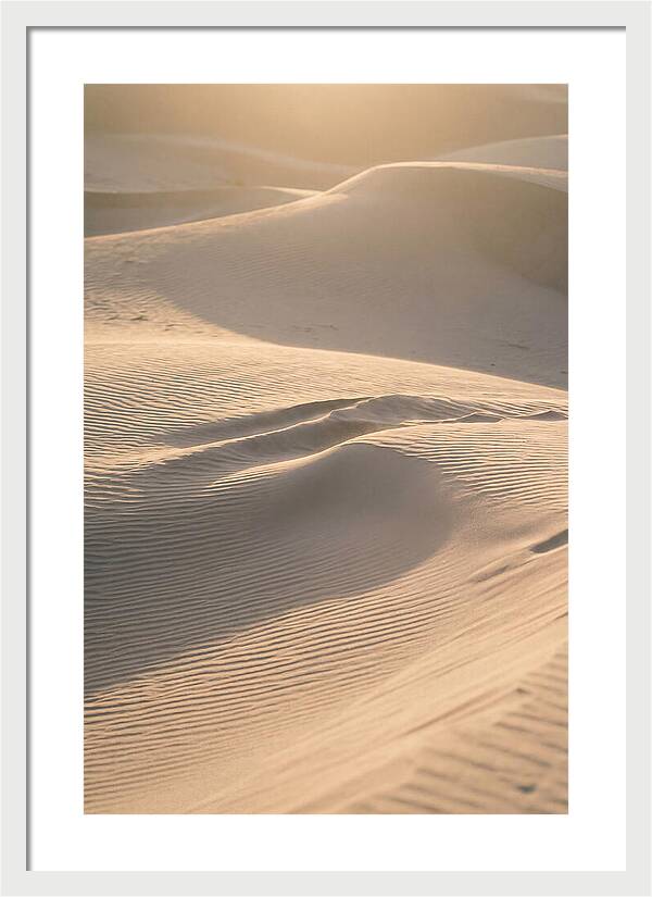 Dune Warmth At Indiana Dunes