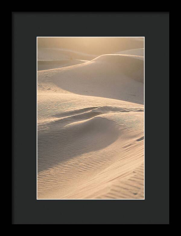 Dune Warmth At Indiana Dunes