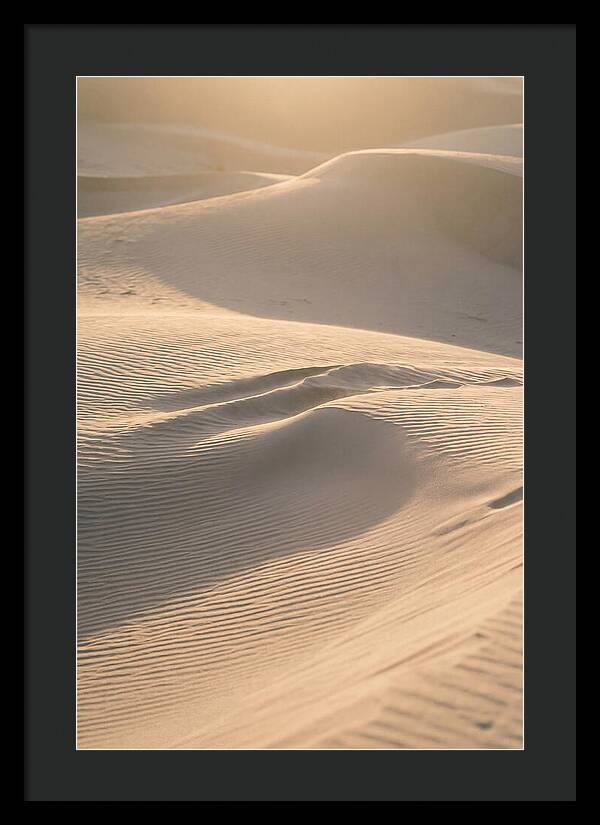 Dune Warmth At Indiana Dunes