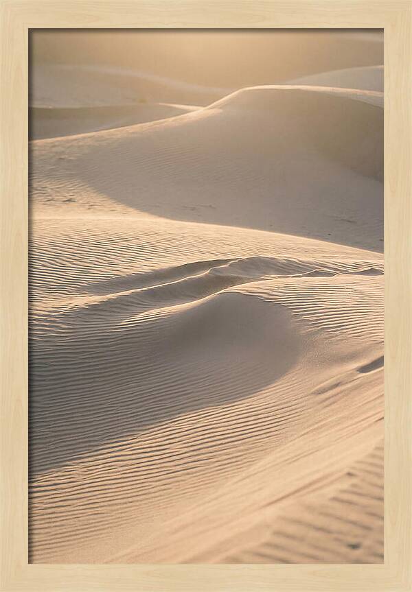 Dune Warmth At Indiana Dunes